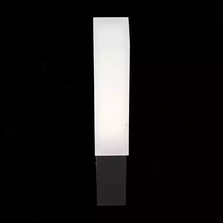 Уличный настенный светодиодный светильник ST Luce Posto SL096.411.02 5_SL096.411.02.webp big