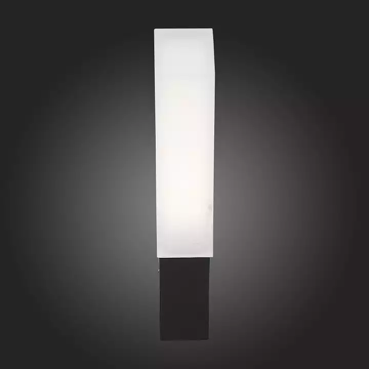 Уличный настенный светодиодный светильник ST Luce Posto SL096.411.02 6_SL096.411.02.webp big