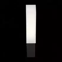 Уличный настенный светодиодный светильник ST Luce Posto SL096.411.02 5_SL096.411.02.webp small