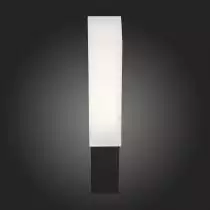 Уличный настенный светодиодный светильник ST Luce Posto SL096.411.02 6_SL096.411.02.webp small