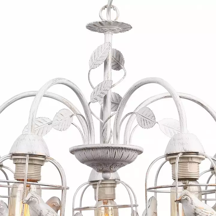 Подвесная люстра Arte Lamp Cincia A5090LM-5WG 1_AR_A5090LM-5WG.webp big