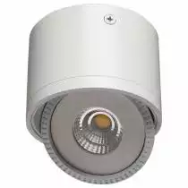 Потолочный светодиодный светильник Arte Lamp Studio A4105PL-1WH