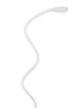Настольная лампа Arte Lamp Conference A1106LT-1WH 1_AR_A1106LT-1WH.webp small