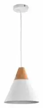 Подвесной светильник Maytoni Bicones P359-PL-01-W 1_MY_P359-PL-01-W.webp small