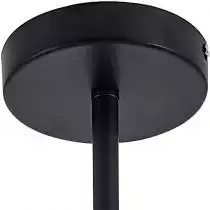 Подвесная люстра Arti Lampadari Teola E 1.1.12 B 4_AL_Teola_E_1.1.12_B.webp small