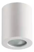 Потолочный светильник Odeon Light Aquana 3571/1C