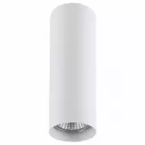 Потолочный светильник Lightstar Rullo 214496