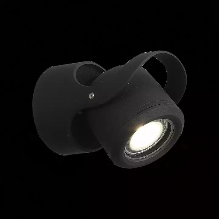 Уличный настенный светодиодный светильник ST Luce Round SL093.401.01 2_SL093.401.01.webp big