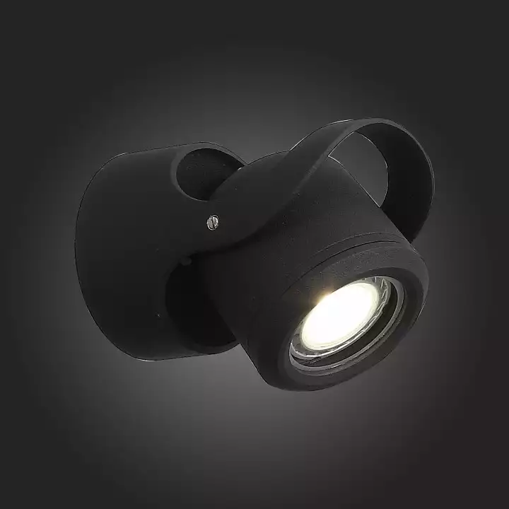 Уличный настенный светодиодный светильник ST Luce Round SL093.401.01 3_SL093.401.01.webp big