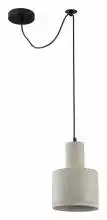 Подвесной светильник Maytoni Broni T439-PL-01-GR 1_MY_T439-PL-01-GR.webp small