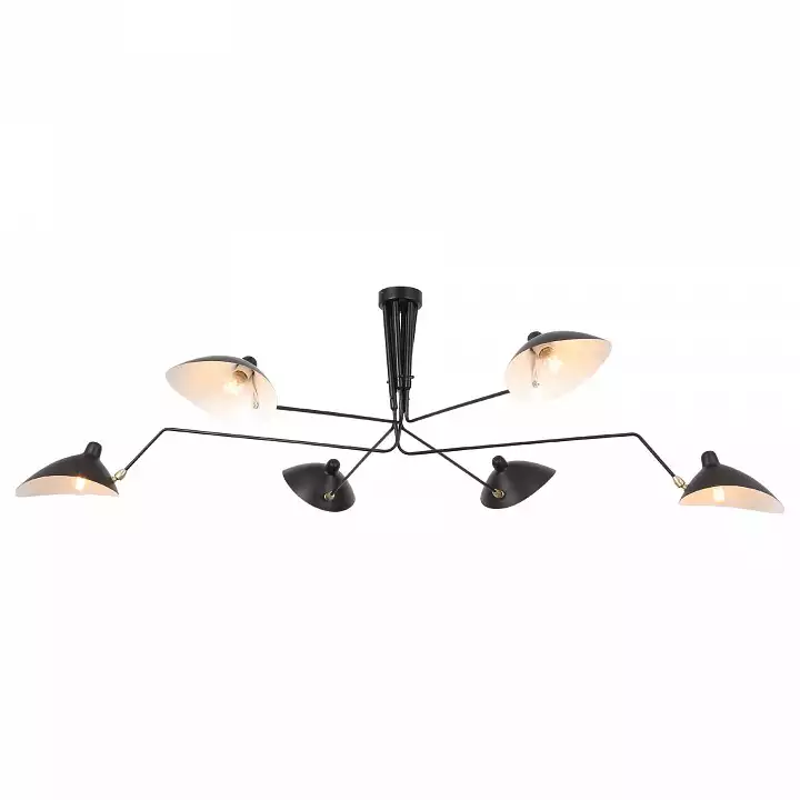 Подвесная люстра ST Luce Spruzzo SL305.402.06 0_SL305.402.06.webp big