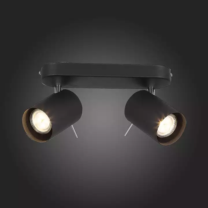 Светодиодный спот ST Luce Fanale SL597.401.02 2_SL597.401.02.webp big
