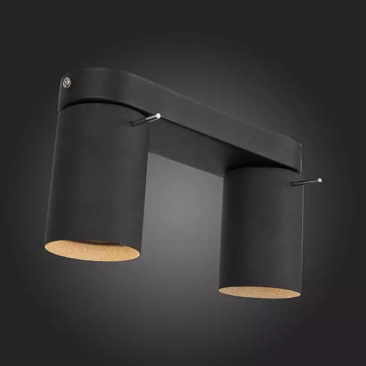 Светодиодный спот ST Luce Fanale SL597.401.02 4_SL597.401.02.webp big