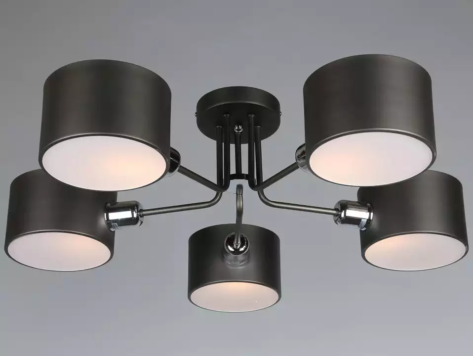 Потолочная люстра Omnilux Lisera OML-54507-05 3_OM_OML-54507-05.webp big