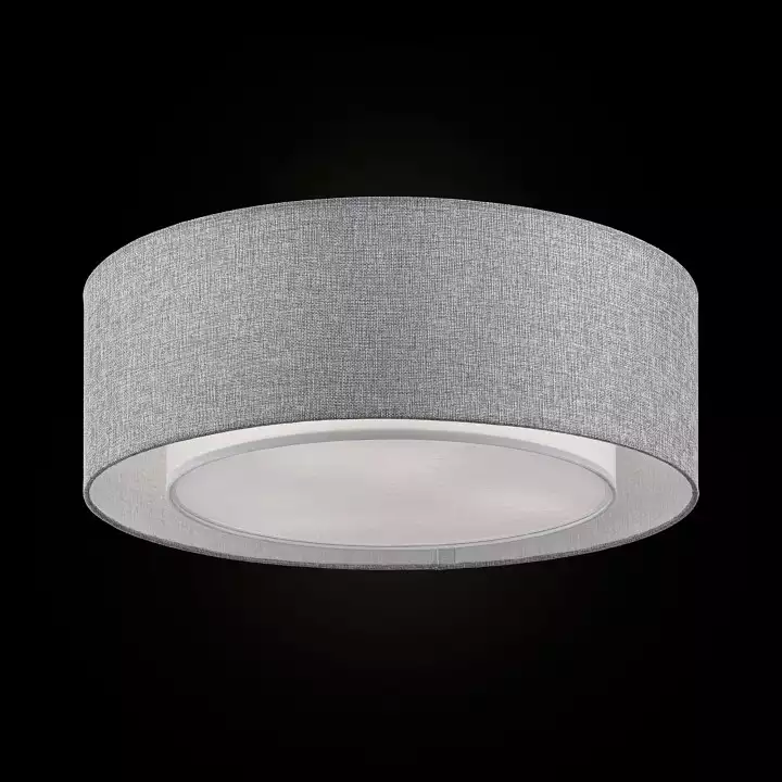Потолочный светильник Maytoni Bergamo MOD613CL-04GR 1_MY_MOD613CL-04GR.webp big