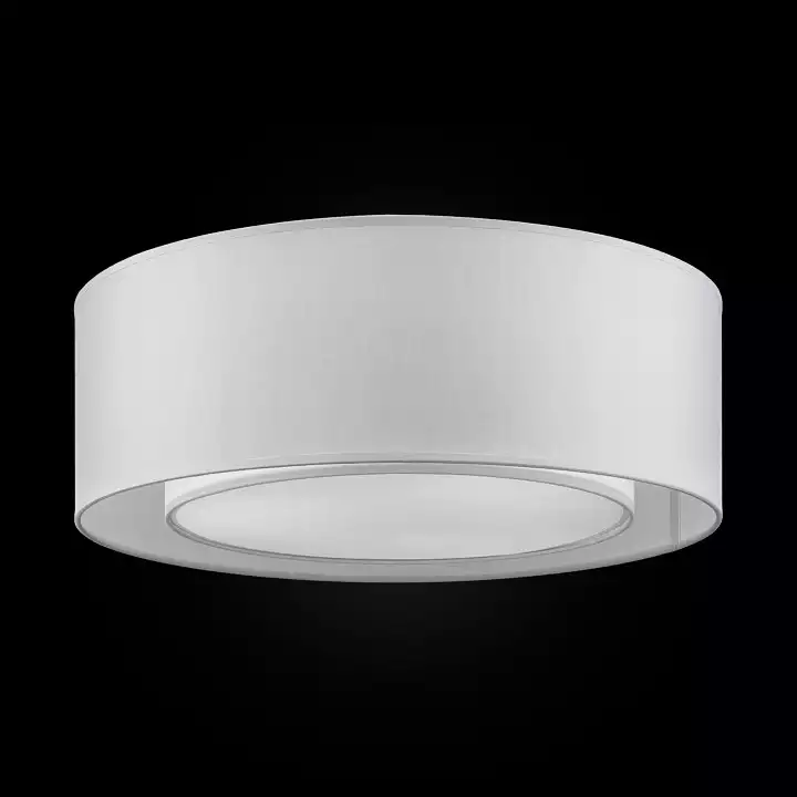 Потолочный светильник Maytoni Bergamo MOD617CL-04GR 1_MY_MOD617CL-04GR.webp big