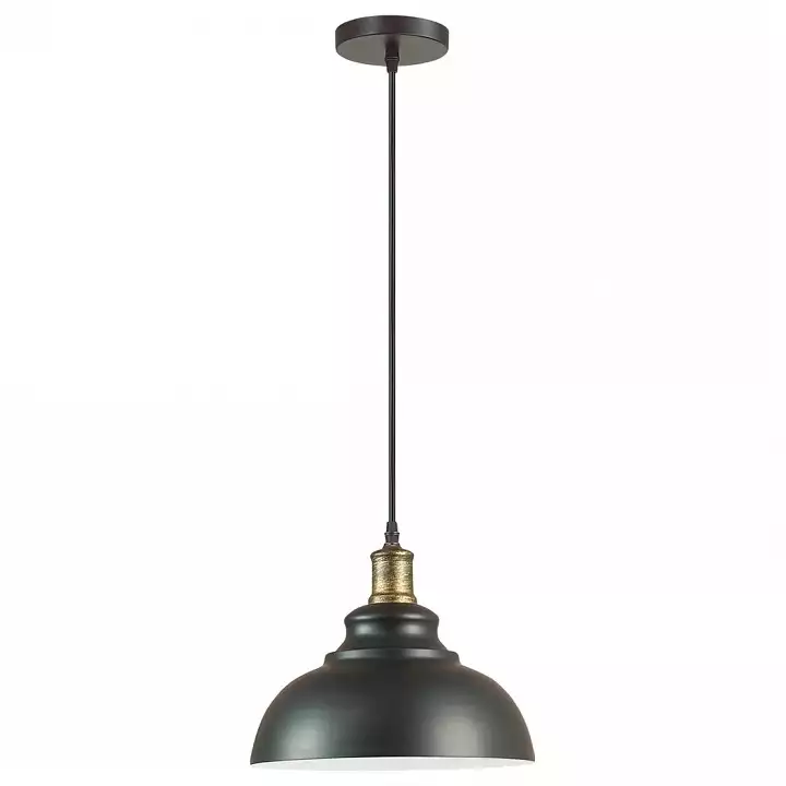Подвесной светильник Lumion Dario 3675/1 1_LMN_3675_1.webp big