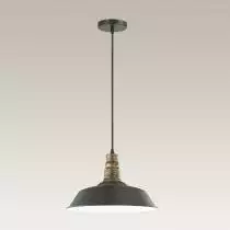 Подвесной светильник Lumion Stig 3677/1 3_LMN_3677_1.webp small