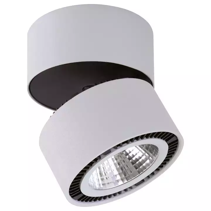 Потолочный светодиодный светильник Lightstar Forte Muro 213830 0_LS_213830.webp big