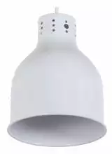 Подвесной светильник Arti Lampadari Colata E 1.3.P1 W
