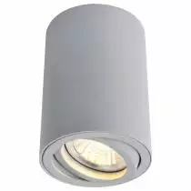 Потолочный светильник Arte Lamp A1560PL-1GY