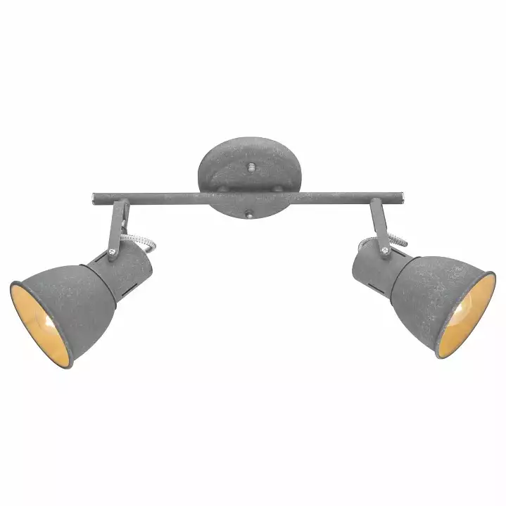 Спот Arte Lamp A1677PL-2GY 0_AR_A1677PL-2GY.webp big