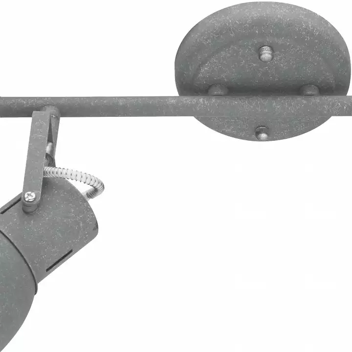 Спот Arte Lamp A1677PL-2GY 3_AR_A1677PL-2GY.webp big