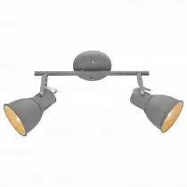 Спот Arte Lamp A1677PL-2GY
