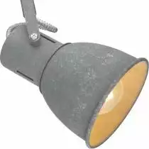 Спот Arte Lamp A1677PL-2GY 1_AR_A1677PL-2GY.webp small