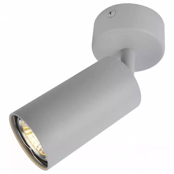 Спот Arte Lamp A3216PL-1GY 0_AR_A3216PL-1GY.webp big