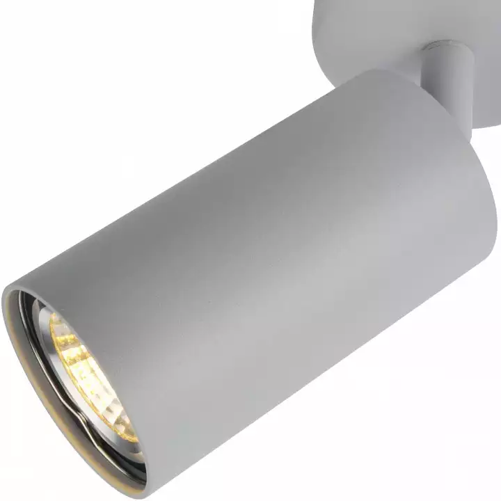 Спот Arte Lamp A3216PL-1GY 1_AR_A3216PL-1GY.webp big