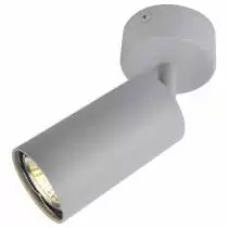 Спот Arte Lamp A3216PL-1GY