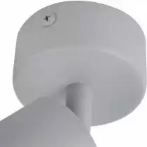 Спот Arte Lamp A3216PL-1GY 2_AR_A3216PL-1GY.webp small