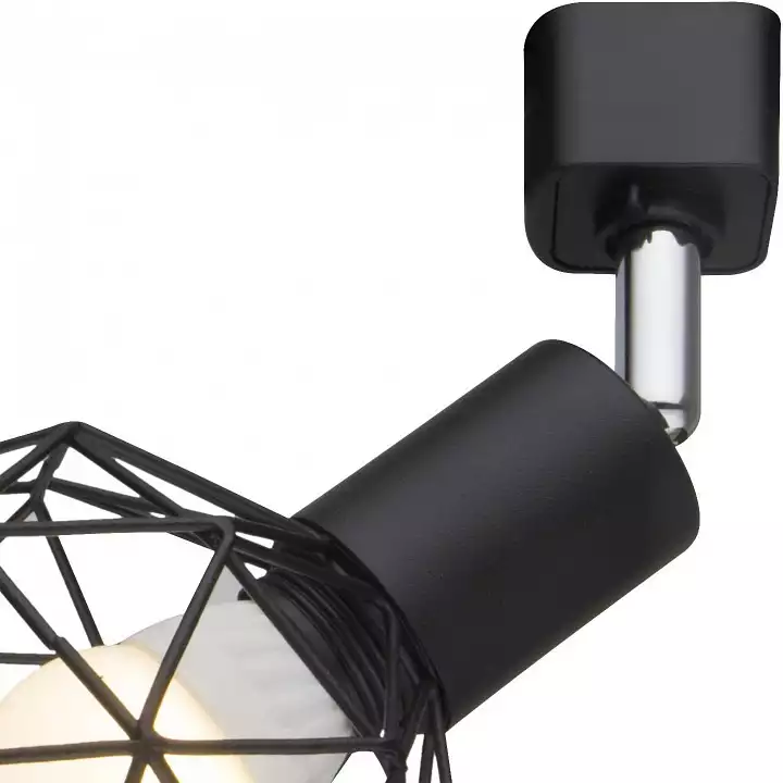 Спот Arte Lamp A6141PL-1BK 2_AR_A6141PL-1BK.webp big