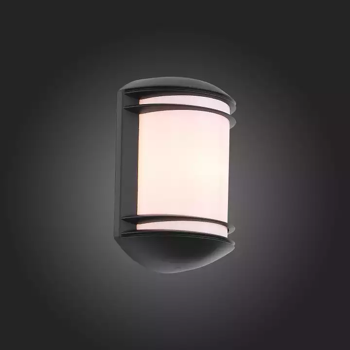 Уличный настенный светильник ST Luce Agio SL076.401.01 2_SL076.401.01.webp big