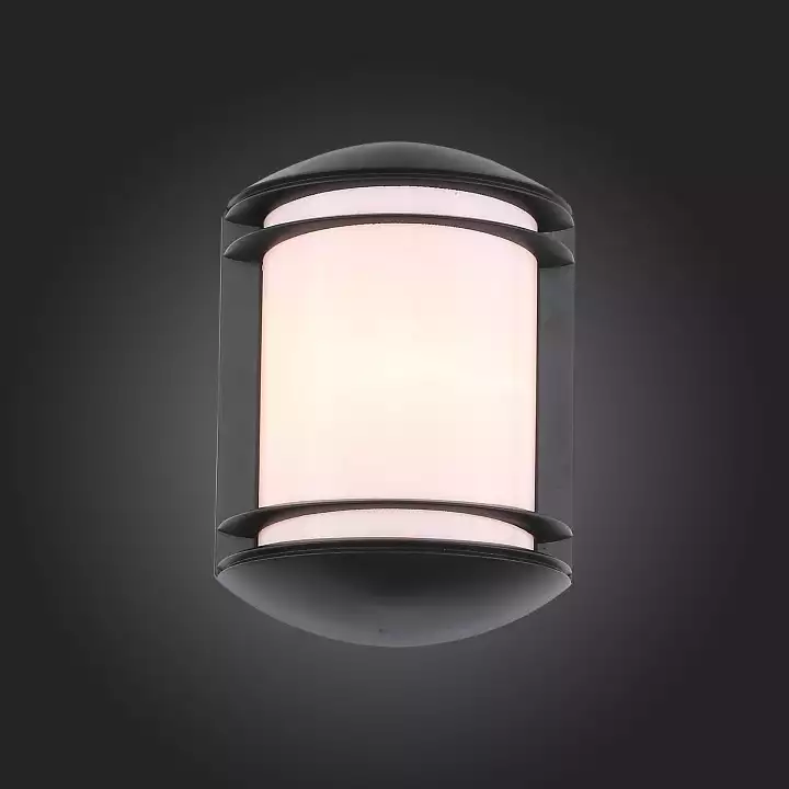 Уличный настенный светильник ST Luce Agio SL076.401.01 3_SL076.401.01.webp big