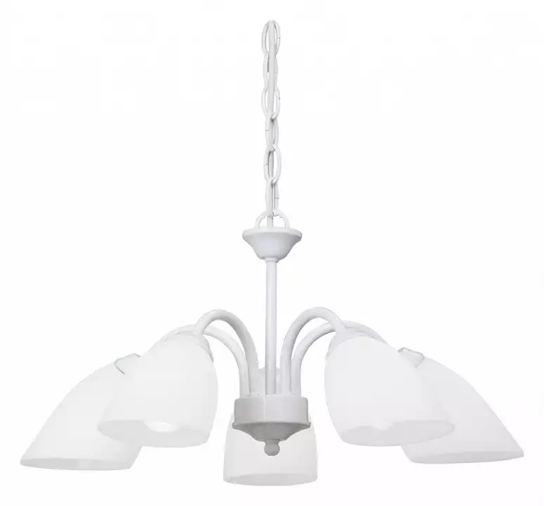 Подвесная люстра Vitaluce V3336/5 1_VI_V3336_5.webp big