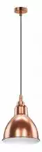 Подвесной светильник Lightstar Loft 765013 1_LS_765013.webp small