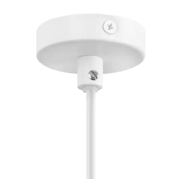 Подвесной светильник Lightstar Loft 765016 3_LS_765016.webp big