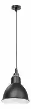 Подвесной светильник Lightstar Loft 765017 1_LS_765017.webp small