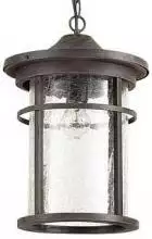 Уличный подвесной светильник Odeon Light Virta 4044/1