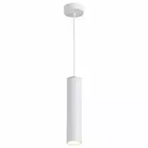 Подвесной светильник Odeon Light Corse 3873/1L 2_OD_3873_1L.webp small