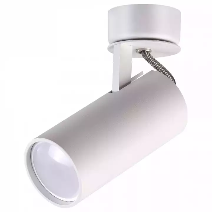 Спот Odeon Light Corse 3873/1C 0_OD_3873_1C.webp big