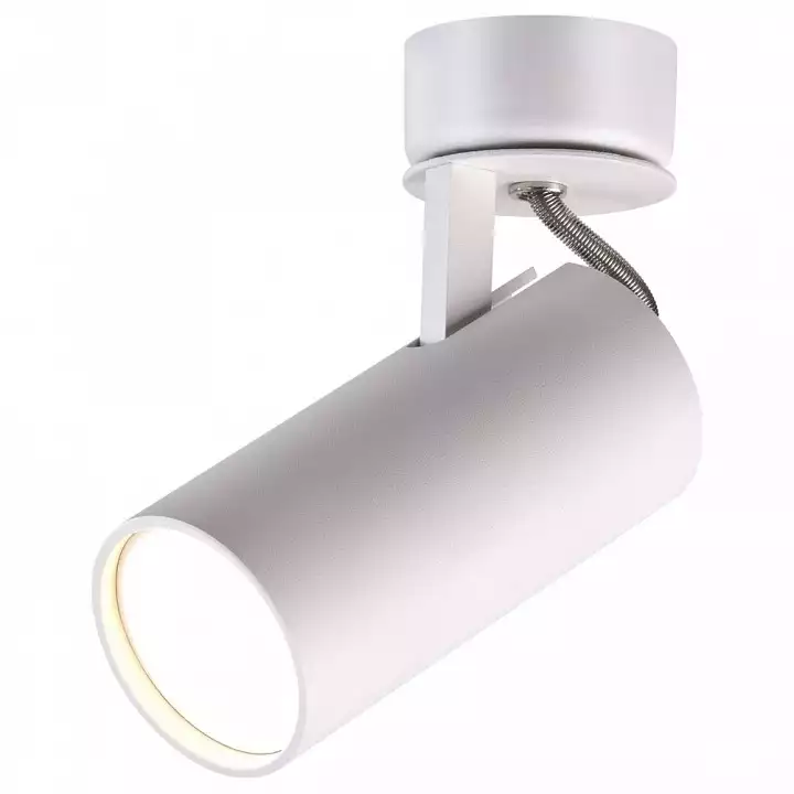 Спот Odeon Light Corse 3873/1C 1_OD_3873_1C.webp big