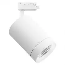 Трековый светодиодный светильник Lightstar Canno Led 303262