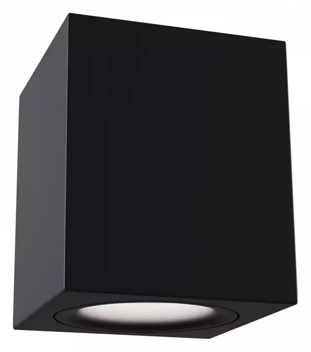 Потолочный светильник Maytoni Alfa C013CL-01B 0_MY_C013CL-01B.webp big