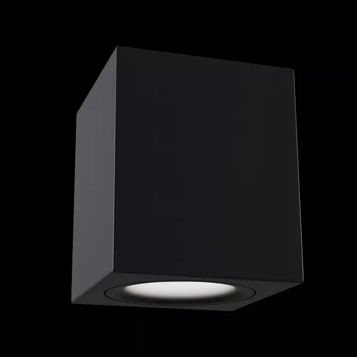 Потолочный светильник Maytoni Alfa C013CL-01B 1_MY_C013CL-01B.webp big