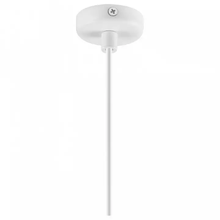 Подвесной светильник Lightstar Loft 865016 4_LS_865016.webp big