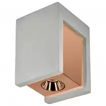 Потолочный светодиодный светильник Loft IT Architect OL1073-GG