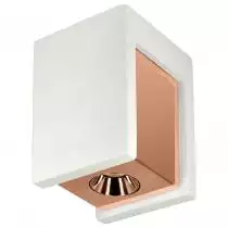 Потолочный светодиодный светильник Loft IT Architect OL1073-WG